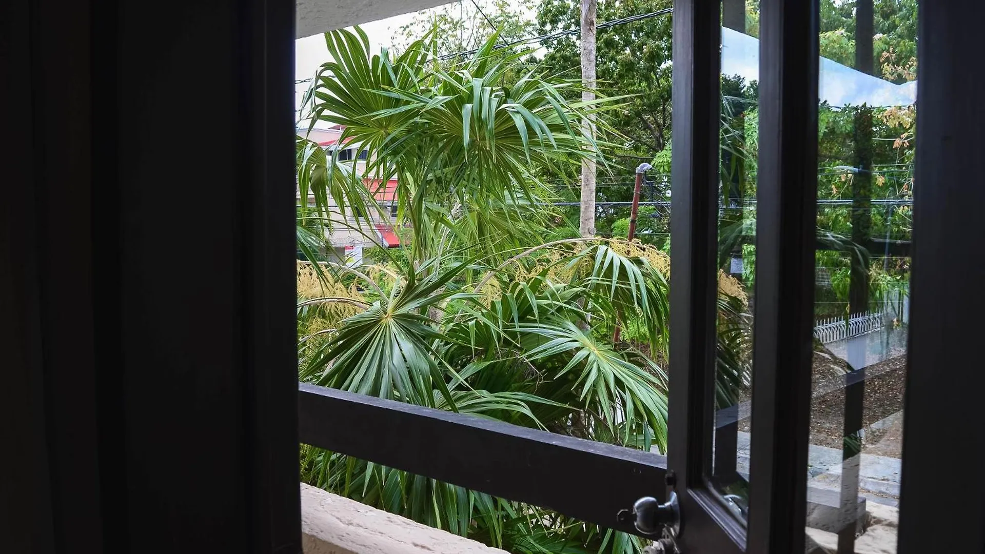 Naranjo Hostel Cancun Mexico