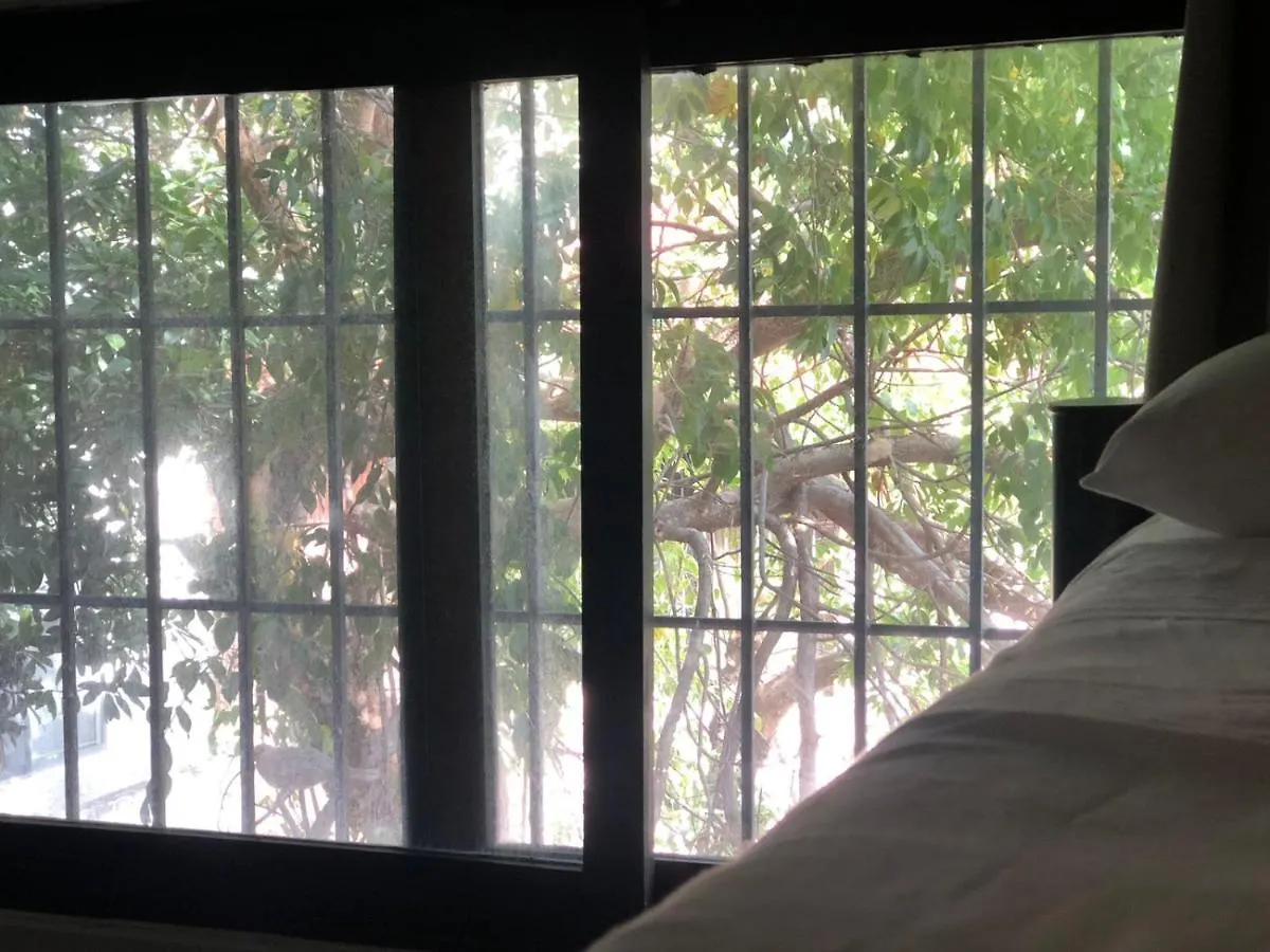 Naranjo Hostel Cancún