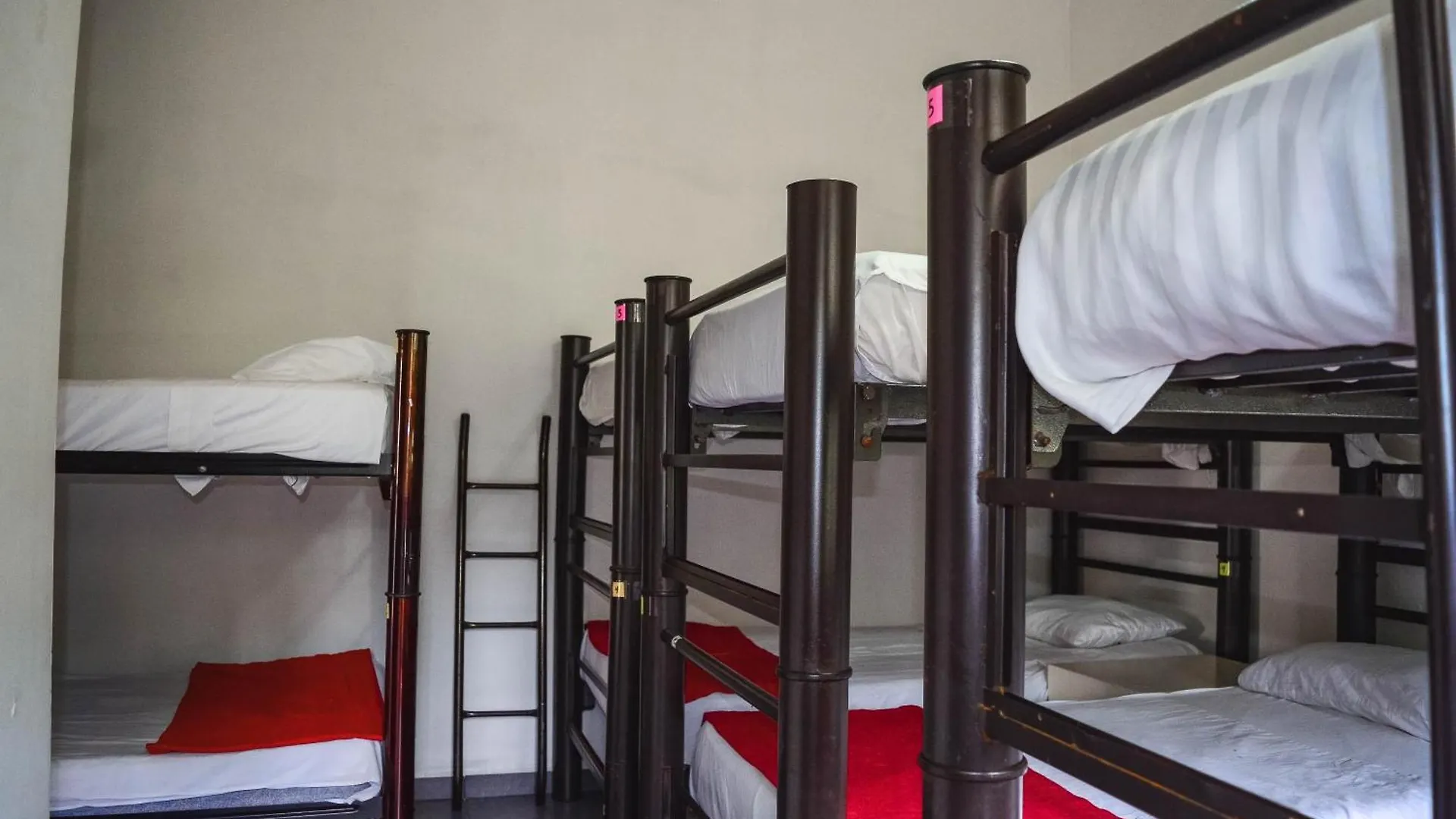 Naranjo Hostel Cancún