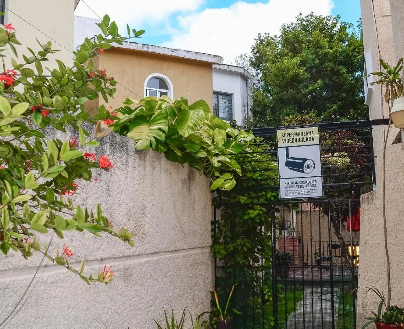 Naranjo Hostel 坎昆